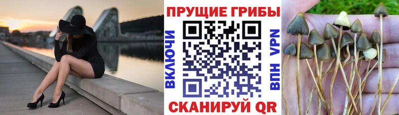 наркошоп Суворов Галлюциногенные грибы ЛСД
